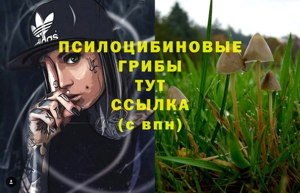 стафф Белоозёрский