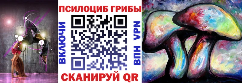 как найти закладки  Малмыж  Псилоцибиновые грибы ЛСД 